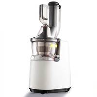 Elektrische compacte ruimtebesparende roestvrijstalen slowjuicer met kauwfunctie, 3-in-1, voedingsrijk, makkelijk schoon te maken, koudgeperste sap