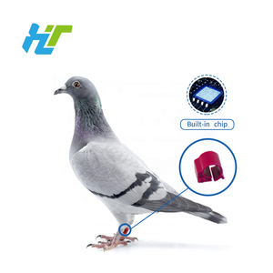 F-007 8Mm Nieuwe Rfid <span class=keywords><strong>Ring</strong></span> Chip Voet/Poot <span class=keywords><strong>Ring</strong></span> Voor Duiven Tracking Control 134.2Khz 1 Jaar Garantie - Product Image 5