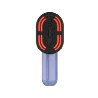 Peigne massant atomiseur rechargeable sans fil pour le cuir chevelu, applicateur d'huile capillaire à brume d'huile essentielle, brosse de massage à lumière LED rouge, OEM