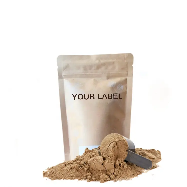 Pabrik OEM nutrisi olahraga tekstur Ultra halus 80% bubuk Protein kacang hidrolisasi dengan rasa coklat
