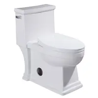Siphonic Water Closet Color Vortex Toilet Complete Water Closet Sets Washdown