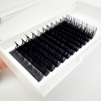 Extensions de cils, greffe de cils individuels, plateau de cils personnalisé, extensions de cils courbure CC DD, vison 20MM, fourrure de vison, volume intense, OEM ODM T/T
