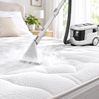 2100W 100 ℃   Nettoyage et stérilisation à la vapeur avec vapeur rapide en 40 secondes pour tapis, canapé, matelas, machine de nettoyage pour éliminer les taches