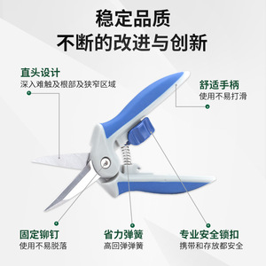 Cisailles de jardinage Greenguard, lame de 50 mm, en acier inoxydable, design papillon, pour le jardinage et la cueillette des fruits - Product Image 2