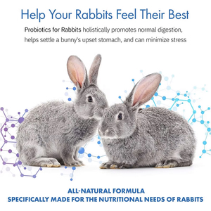 Suppléments naturels de qualité alimentaire pour lapins, produits d'engraissement et de prise de poids, stimulateur de croissance pour lapins - Product Image 4