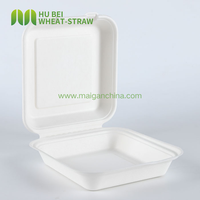 Boîte à lunch carrée 8x8 pouces en bagasse, jetable, type coquille, écologique, anti-fuite, pour plats à emporter, direct usine
