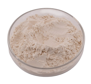 イカエキス粉末50% イカレバー粉末 - Product Image 2