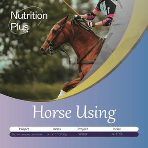 子馬と大人の馬の消化健康のためのプライベートラベル天然プレバイオティクスとプロバイオティクス馬サプリメント - Product Image 3