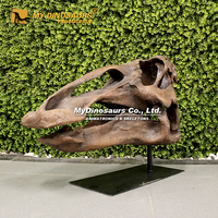 Tête de dinosaure fossile haute simulation My Dino DS-131 pour exposition muséale, à vendre