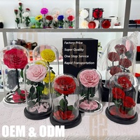 Bestseller - Roses éternelles - Fleurs pour la Saint-Valentin et la fête des mères - Fleurs préservées éternelles - Roses éternelles dans un dôme en verre avec LED