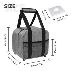 Single <b>Bowling</b> Ball Bag With Safety Pad Gray Mesh Carry Case For <b>Bowling</b> Equipment Storage And Transport - Product Image 5