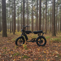 Vélo électrique de banlieue 48V avec double batterie au lithium 15Ah et moteur haute puissance Hengtach - Pneus larges de 20 pouces, longue autonomie, 7 vitesses