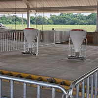 Équipement complet d'élevage porcin automatique pour ferme porcine avec conception