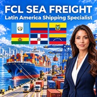 Agent maritime Chine-Chili-Costa Rica, transitaire, expédition FCL (charge complète de conteneur), livraison au port, support douanier