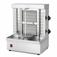 Machine à griller les kebabs commerciaux, mini-grill vertical à gaz pour shawarma, doner et viande rôtie pour restaurant de restauration rapide