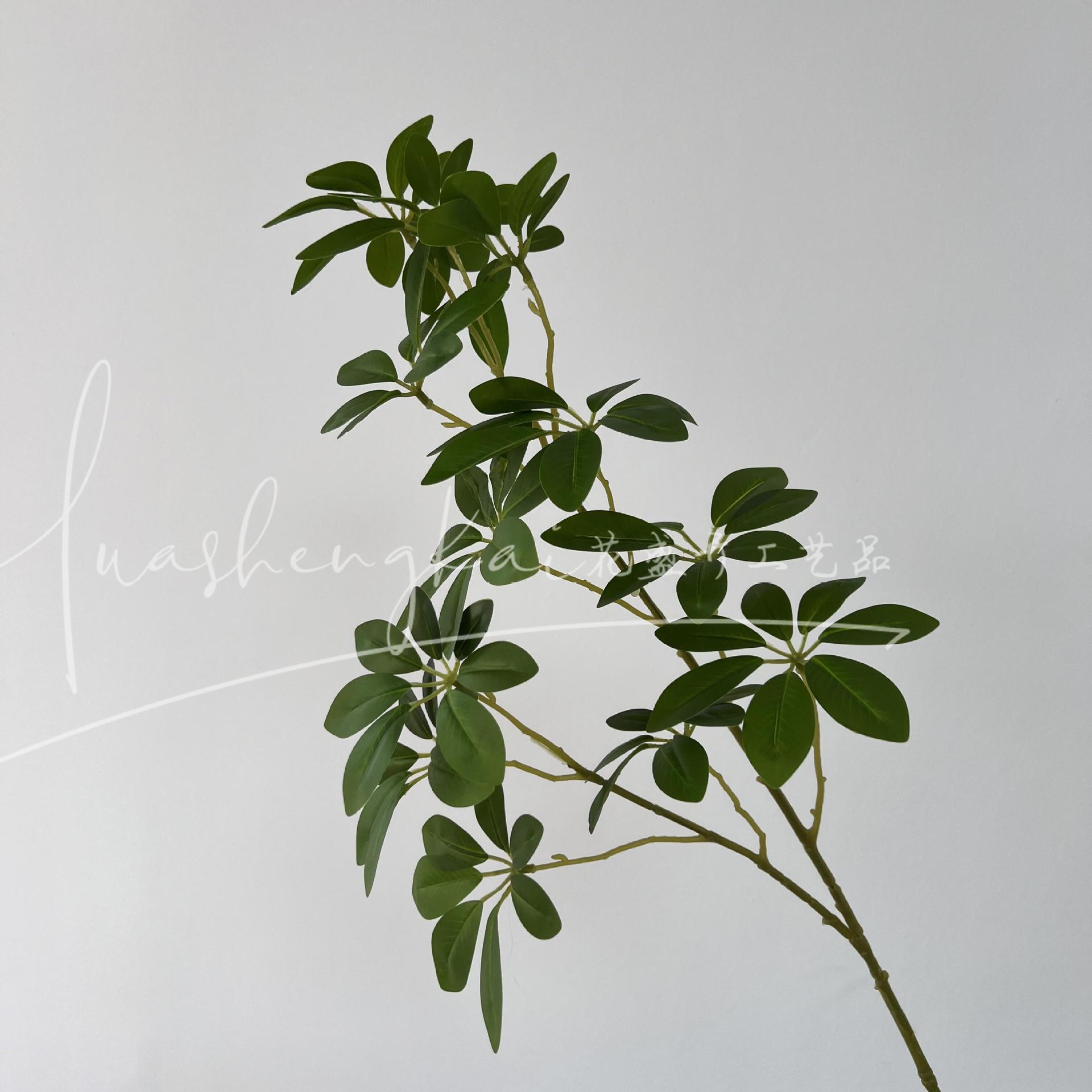 Pato pie madera verde