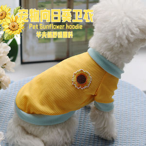 Suéter de punto gofrado con diseño de girasol para gatos y perros, amarillo y azul, ropa para mascotas de poliéster - Product Image 4
