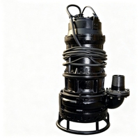 Pompe à boue submersible en fer résistant à la corrosion pour le traitement des eaux usées, utilisation sous-marine haute performance