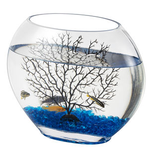 Mini Pecera de Vidrio Hygger a Precio de Mayoreo para Niños HG-975 - Product Image 2