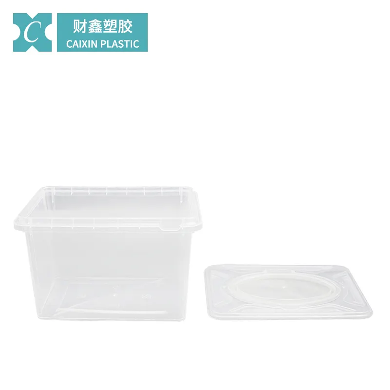 पोर्टेबल प्लास्टिक बॉक्स CX116 2900ml प्लास्टिक बड़ी बॉक्स उपयोगी खाद्य पैकेजिंग कंटेनर
