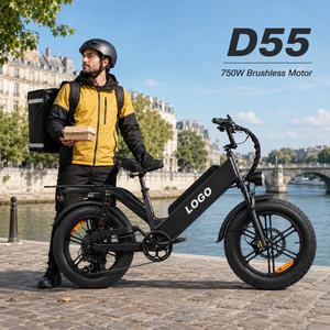 Vélo cargo électrique D55 20 pouces Moteur sans balais 750W Cadre en aluminium pliable Frein à disque 8 vitesses Avec batterie intégrée - Product Image 1
