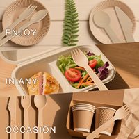 Ensemble de couverts jetables en bois, 500 pièces (cuillères et fourchettes de 15,7 cm, couteaux de 16,5 cm, fourchettes à fruits de 8,6 cm) pour les fêtes