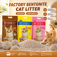 Litière pour chat en bentonite écologique à marque privée, faible teneur en poussière, formule naturelle, agglomération rapide, contrôle des odeurs, pour la vente en gros