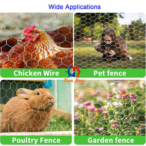 Jaring Kawat Heksagonal Galvanis Celup Panas 3/4 inci untuk Perangkap Ikan Lobster - Product Image 5