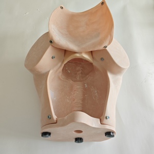 Modelo de Enseñanza de Parto Manual Avanzado, Simulador de Parto de <span class=keywords><strong>Obstetricia</strong></span> <span class=keywords><strong>y</strong></span> <span class=keywords><strong>Ginecología</strong></span> - Product Image 6