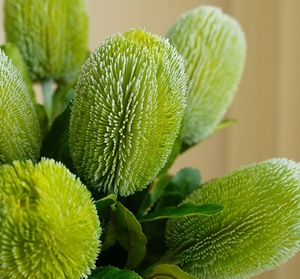 Flores Artificiales de Protea Tropical King y Protea Pincushion, Tallos de Tacto Real, Arreglo en Jarrón, Decoración Festiva para el Hogar, Venta al por Mayor - Product Image 2