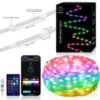 Guirlandes lumineuses LED décoratives d'extérieur, 5M 10M, télécommande par application, étanches IP44, USB