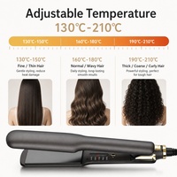 Plancha de Pelo Eléctrica Torlin con Calentamiento PTC, LED, Temperatura Máxima 210°C, Calentamiento Rápido, Placas de Temperatura Constante, Control Digital, para Uso Doméstico y en Autocaravanas