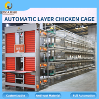 Vente en gros de cages automatiques pour poules pondeuses, équipement d'élevage avicole, vente directe d'usine, 90-160 oiseaux par cage, personnalisable