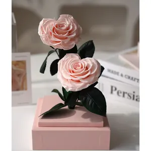 Factory Supply Wholesale Price Preserved Single Rose Box Small small preserved roses