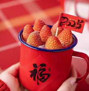 Bán buôn giáng sinh Bánh men cốc/cốc-sinh thái thân thiện Hộp Quà Tặng hỗn hợp tráng miệng in cho Giáng sinh năm mới Bên Cửa Hàng quà tặng - Product Image 4