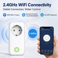 Enchufe Inteligente con Medidor de Energía, Monitoreo de Energía WiFi Tuya, Estadísticas de Consumo en Tiempo Real, Temporizador, Compatible con Alexa y Google Home, OEM, ODM