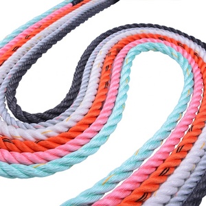 3 Sợi <span class=keywords><strong>Polypropylene</strong></span> Xoắn Dây Để In Bao Bì Dây - Product Image 2