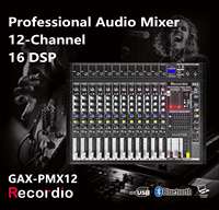 Mélangeur audio GAX-PMX12 de vente chaude puissant + 48V Phantom 500W 16DSP effets BT avec commutateur USB pour une utilisation sur scène et en studio