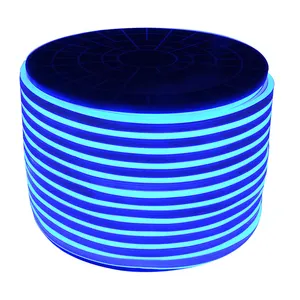 Tira de luz mágica de PVC de silicona, 12V/24V, 110V, 220V, SMD5050, RGB, flexible de neón