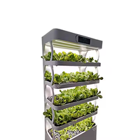 Mini système de culture hydroponique en PP, petit armoire de culture intérieure pour légumes, économie d'eau