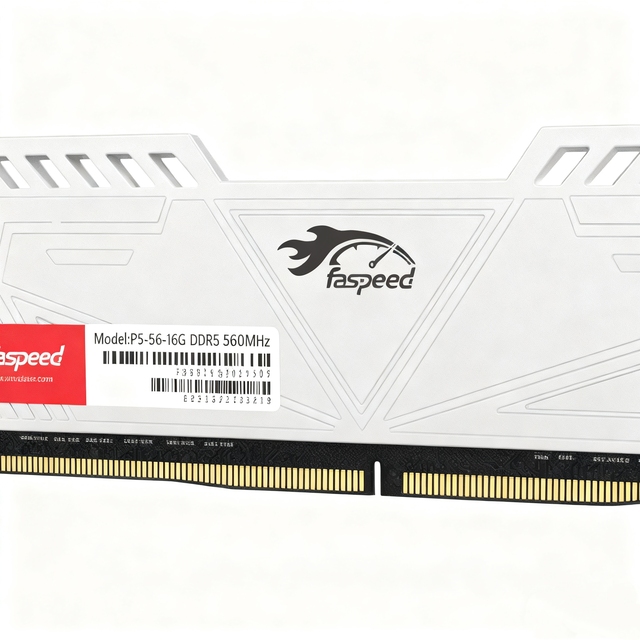 Faspeed DDR5 Memory Module 8GB/16GB/32GB 4800MHz/5600MHz Low Power 1.1V High Performance 3 Years Warranty Desktop Stock Model P5