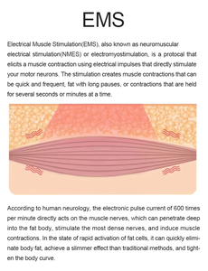Machine Cryolipolyse Premium 360 Degrés pour Amincissement Corporel, Équipement de Congélation des Graisses Certifié CE pour Usage Esthétique - Product Image 3