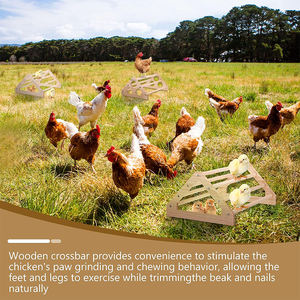 WDF คอนไก่แบบเกาะสำหรับลูกไก่เกาะสำหรับเด็ก - Product Image 6