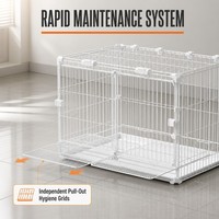Cage pour chien pliable en métal massif, écologique, plusieurs tailles, avec plateau en plastique à bouton-pression, enclos pour animaux de compagnie, caisse en maille