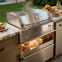 Barbecue au charbon de bois encastrable haut de gamme moderne en acier inoxydable SS304 pour cuisine extérieure et jardin domestique