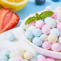 Bulk Sugar-Free Mint Fruit Flavored Candy Cool Pure Fresh Breath Pressed Tablet Bottle 6 Bottles
