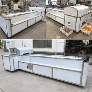 Máquina Industrial Automática Italiana para Deshuesar Cerezas, Deshuesar Ciruelas y Pelar Longanes, para Ciruelas Deshidratadas - Product Image 2