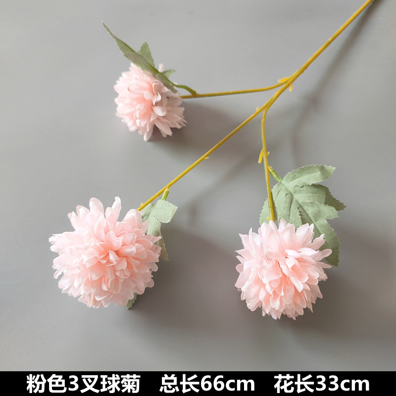 3 chrysanthème de boule de fourchette
