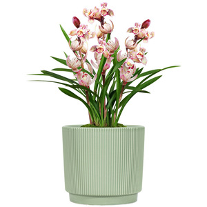 Maceta Geométrica <span class=keywords><strong>para</strong></span> Plantas 2024, Maceta Pequeña de Cerámica <span class=keywords><strong>para</strong></span> Suculentas, <span class=keywords><strong>Macetas</strong></span> de Cerámica al por Mayor <span class=keywords><strong>para</strong></span> Plantas - Product Image 3
