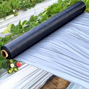 Film de paillage en plastique PE noir argenté écologique, couverture de sol, papier de paillage <span class=keywords><strong>agricole</strong></span> - Product Image 4